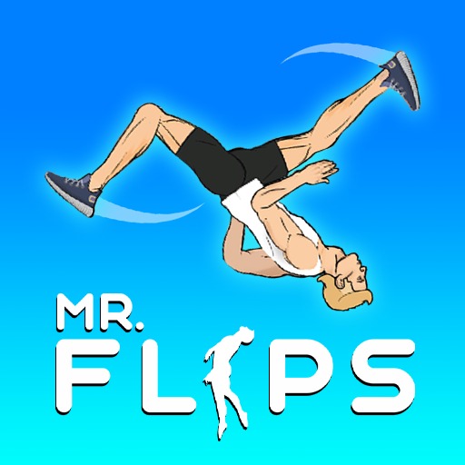 Mr Flip